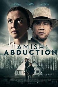 смотреть Похищение амиша (2019) на киного