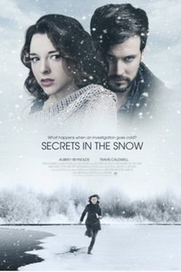 смотреть Секреты в снегу (2020) на киного