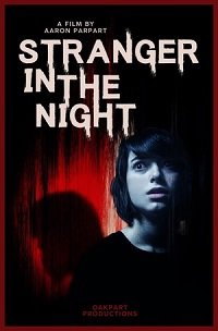смотреть Незнакомец в ночи (2017) на киного