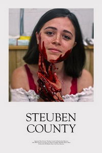 смотреть Округ Стюбен (2020) на киного