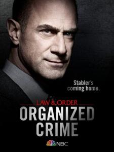 смотреть Закон и порядок: Организованная преступность 3 сезон 11,12,13 серия на киного